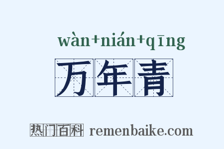 万年青是什么意思的图片